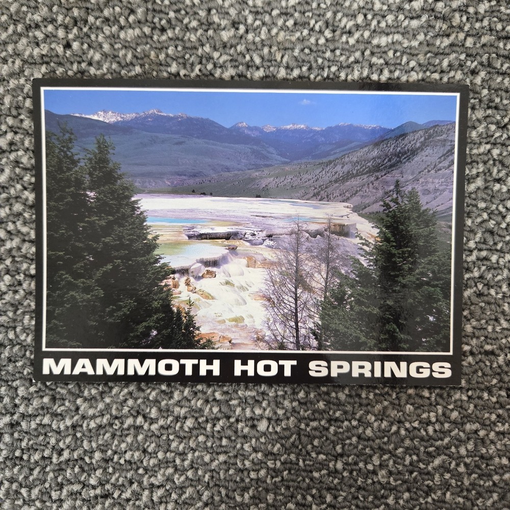 Mammoth Hot Springs Yellowstone National Park Scenic Postcard Unused